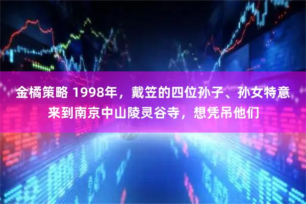 金橘策略 1998年，戴笠的四位孙子、孙女特意来到南京中山陵灵谷寺，想凭吊他们