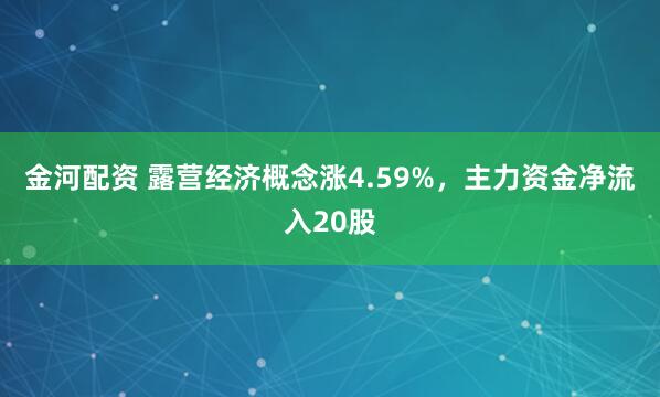 金河配资 露营经济概念涨4.59%，主力资金净流入20股