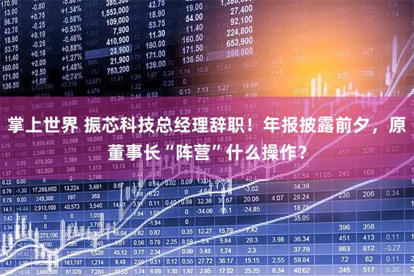 掌上世界 振芯科技总经理辞职！年报披露前夕，原董事长“阵营”什么操作？