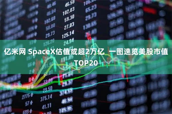 亿米网 SpaceX估值或超2万亿  一图速览美股市值TOP20