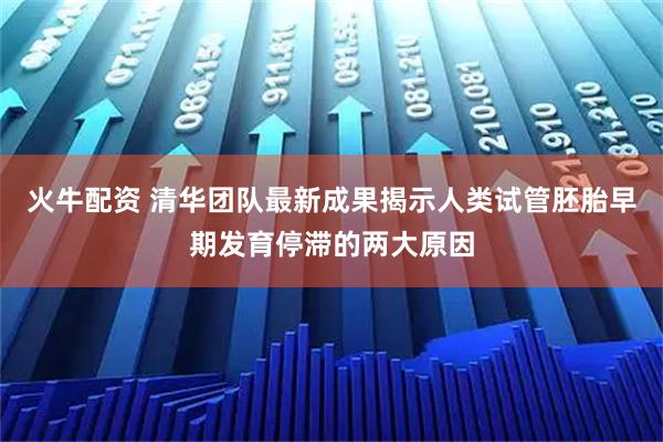 火牛配资 清华团队最新成果揭示人类试管胚胎早期发育停滞的两大原因