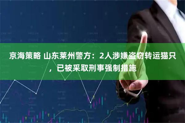 京海策略 山东莱州警方：2人涉嫌盗窃转运猫只，已被采取刑事强制措施