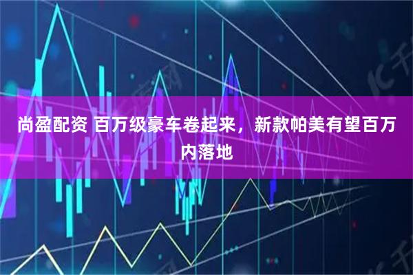 尚盈配资 百万级豪车卷起来，新款帕美有望百万内落地