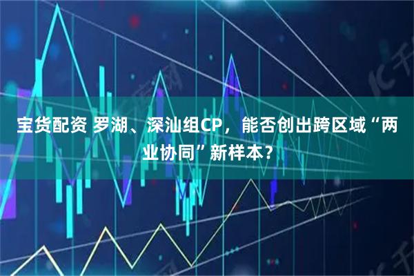 宝货配资 罗湖、深汕组CP，能否创出跨区域“两业协同”新样本？