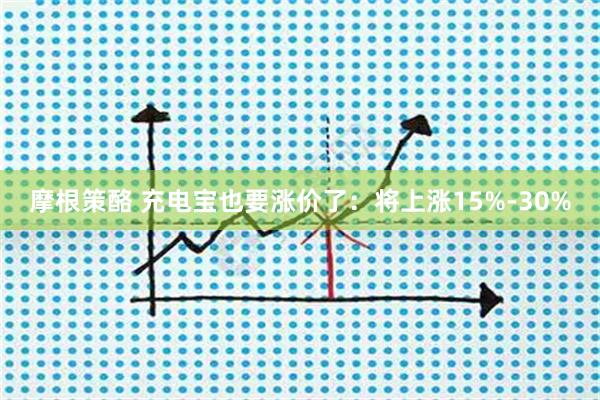 摩根策酪 充电宝也要涨价了：将上涨15%-30%