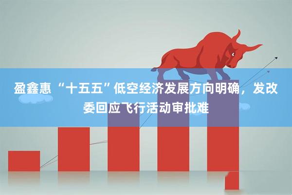 盈鑫惠 “十五五”低空经济发展方向明确，发改委回应飞行活动审批难