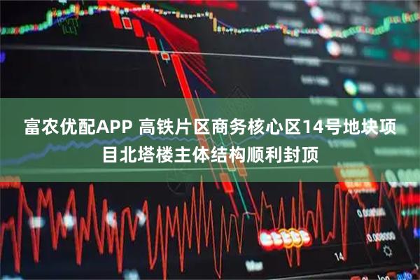 富农优配APP 高铁片区商务核心区14号地块项目北塔楼主体结构顺利封顶
