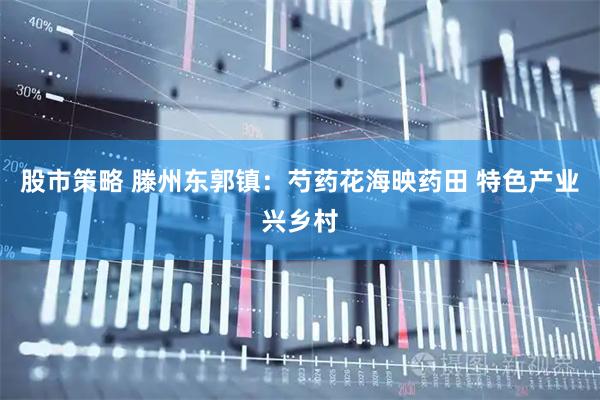 股市策略 滕州东郭镇：芍药花海映药田 特色产业兴乡村