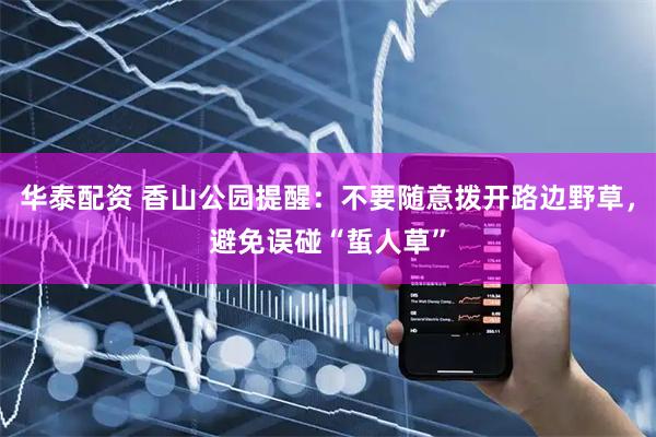 华泰配资 香山公园提醒：不要随意拨开路边野草，避免误碰“蜇人草”