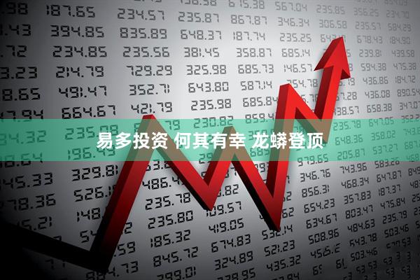 易多投资 何其有幸 龙蟒登顶